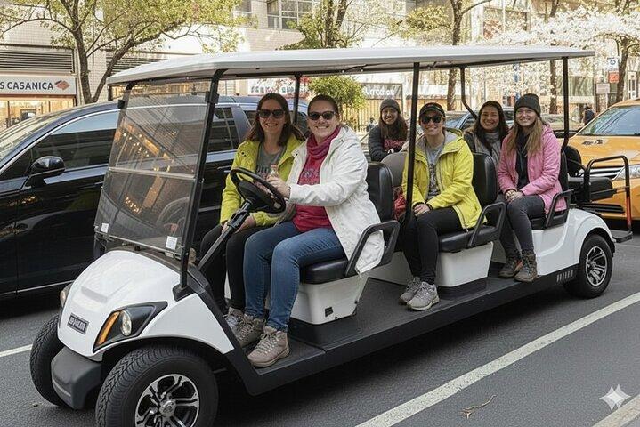 Manhattan Midtown Landmarks & History Guided Buggy Tour