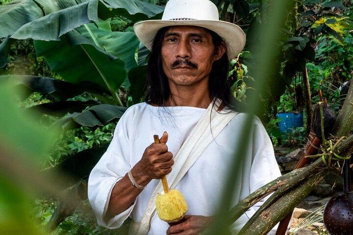 Tour of indigenous trails, coffee, cocoa, waterfalls - Minca