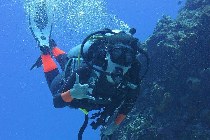 Dubai: VIP Private Scuba Diving