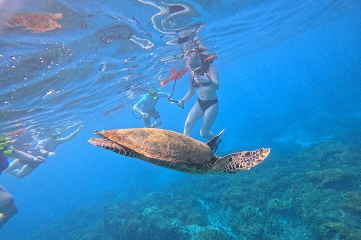 Cano Island Snorkeling Tour From Uvita