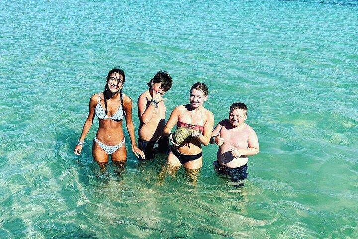 Anna Maria Island Dolphins & Beginners Snorkeling Adventure 4Hrs