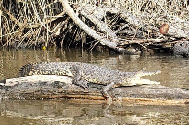 Private 2 Hour River Safari on the Bentota River