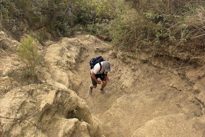 Mt Longonot Volcanic Day Hike