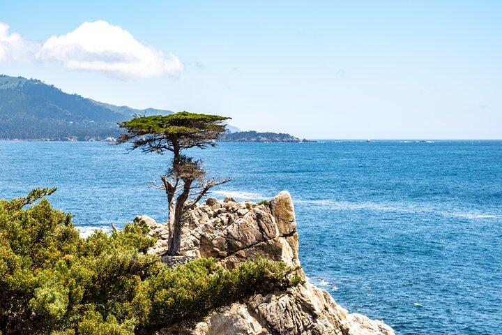 17-Mile Drive, Monterey Peninsula&Carmel Premium Small Group Tour