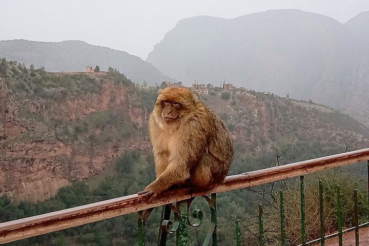 Private Ouzoud Waterfalls Day Trip from Marrakech by 4x4