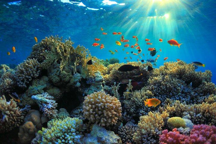 From Sharm: Colored Canyon Jeep Safari, Snorkeling, Dahab & Lunch