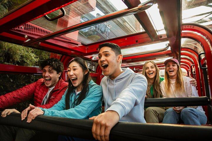 Blue Mountains Half Day Experience with Scenic World and Lookouts