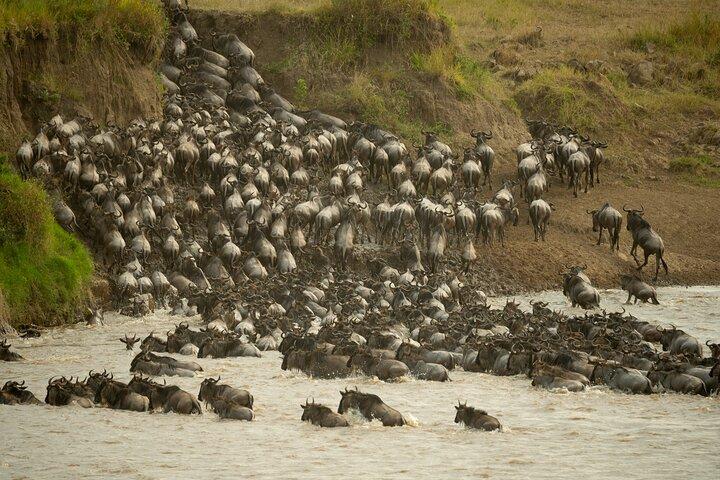 7 Days Great Migration Serengeti Safari
