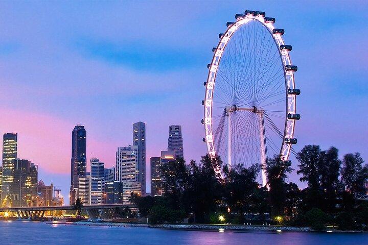 Singapore Flyer Entry Ticket - Flexible Admission