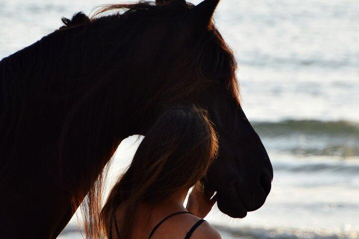 Noordhoek: Private Beach Horseback Riding in Cape Town