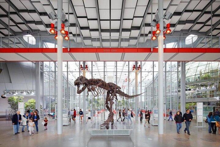 California Academy Sciences Planetarium Rainforest Entry Ticket