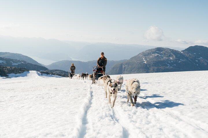 Dog Sledding Adventure in Tromsø