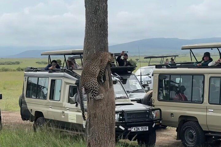 3 Day Maasai Mara Group Joining Safari With Guided Tour