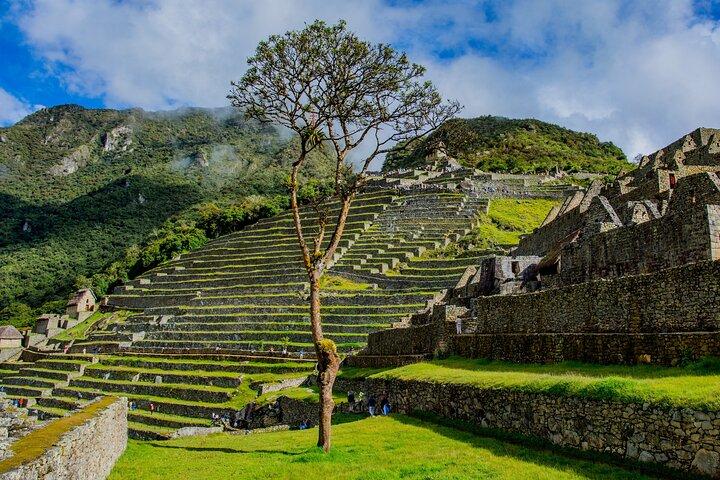 Machu Picchu Guided Tour from Aguas Calientes