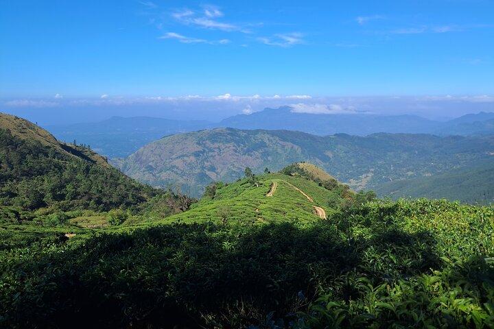 3 Days in Horton Plains Foothills: Hiking and Safari Trails