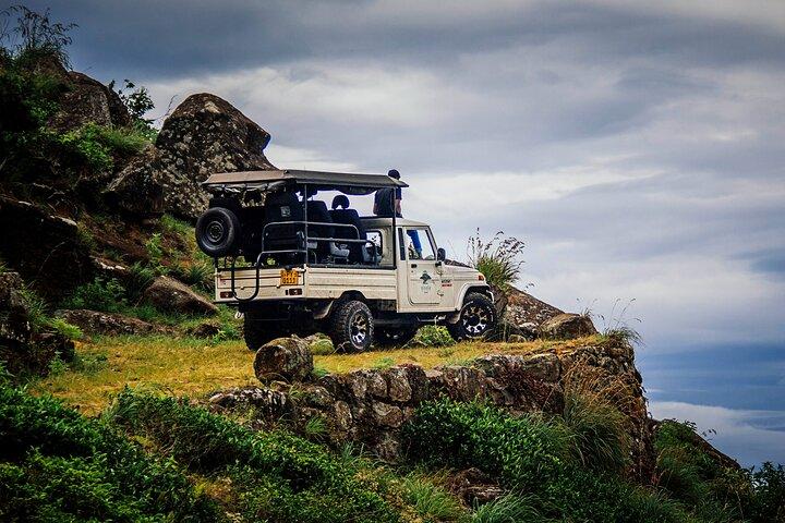 3 Days in Horton Plains Foothills: Hiking and Safari Trails