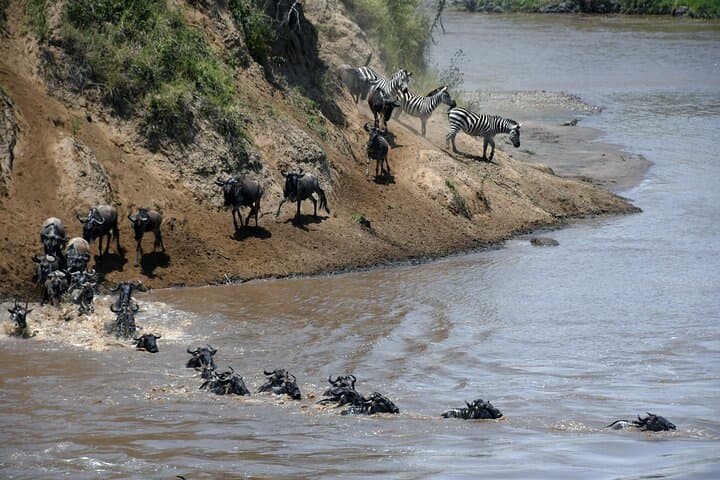 3 Day Masai Mara National Reserve Safari Mid Range
