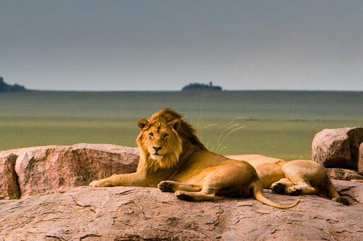 3 Day Flyin/Flyout of Zanzibar Tarangire, Ngorongoro & Manyara