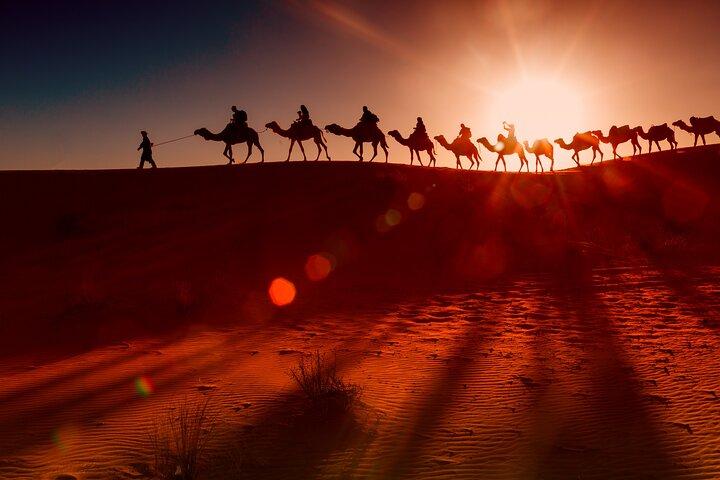 VIP Red Dune Safari with Pick/Drop BBQ/Dinner Camelride Sandbord