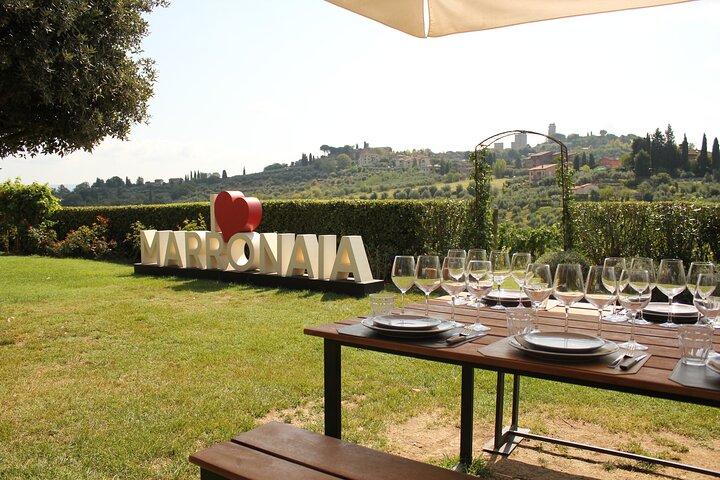 Private Wine, Evo Oil, Balsamic Vinegar Experience & Meal