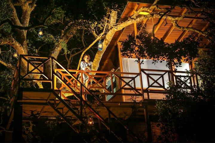 Exclusive: 2 Nights Family Treehouse Experience with Yala Safaris