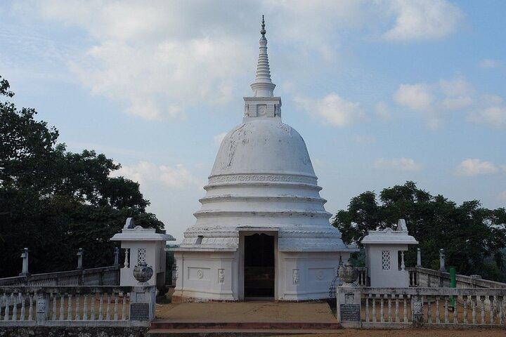 Ritigala Forest Monastery & Nature Walk Tour from Habarana