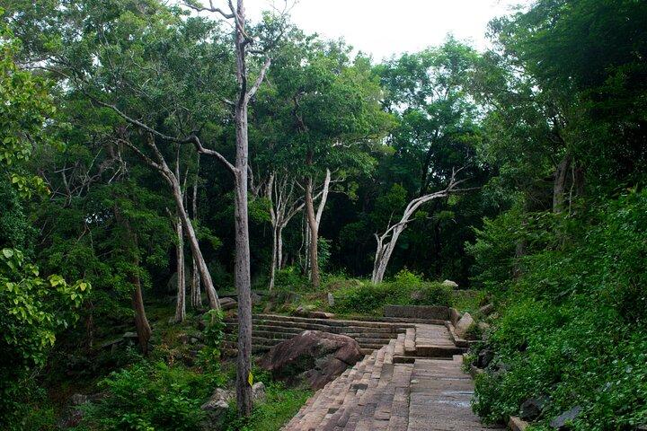 Ritigala Forest Monastery & Nature Walk Tour from Habarana