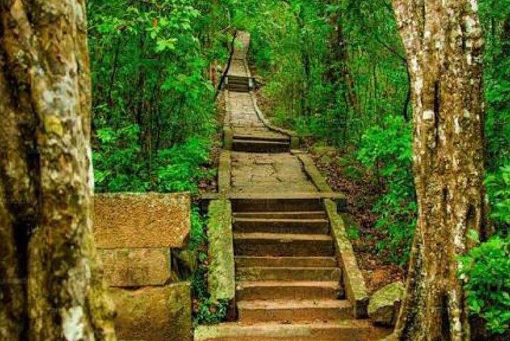 Ritigala Forest Monastery & Nature Walk Tour from Habarana