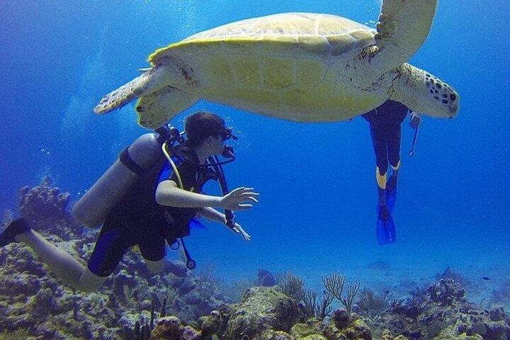 Sharm El Sheikh Ras Mohammed by Bus National Park Snorkelling