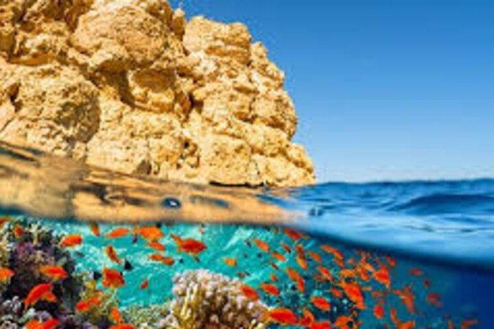 Sharm El Sheikh Ras Mohammed by Bus National Park Snorkelling