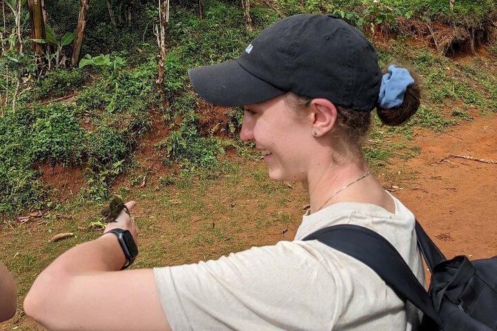 Materuni Waterfalls and Coffee Tour with Local Lunch