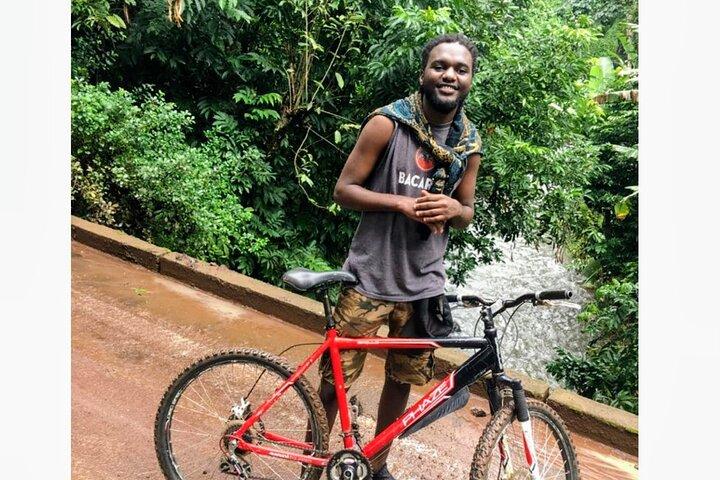 Materuni Waterfalls and Coffee Tour with Local Lunch