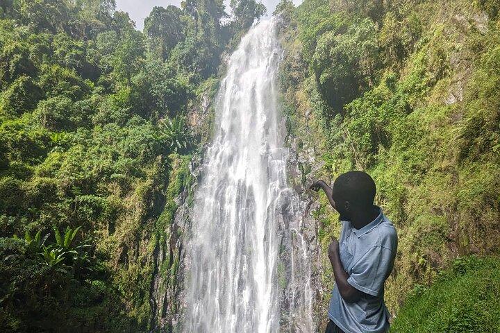 Materuni Waterfalls and Coffee Tour with Local Lunch