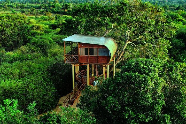 2 Nights All Inclusive Treehouse Safari in Yala with transfers