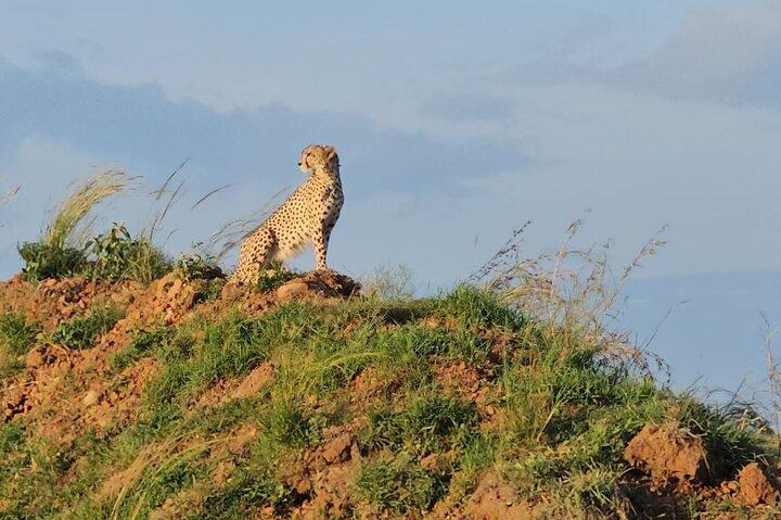 5 Days Magical Kenya Adventure