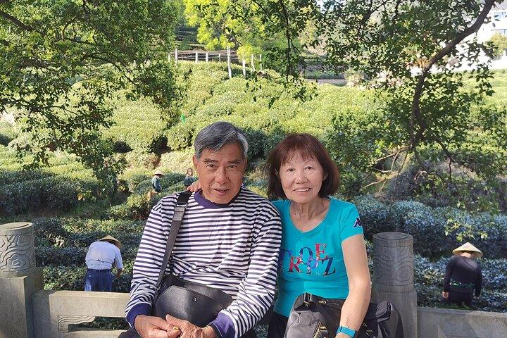Private Hangzhou Day Tour to West Lake, Lingyin Temple, Tea Village, Old Pagoda