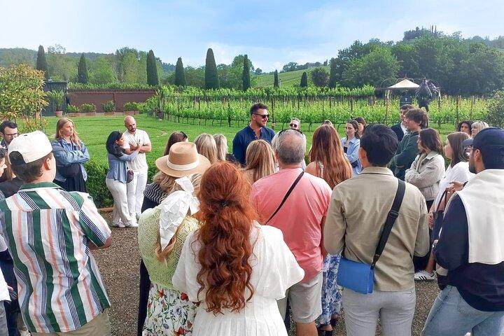 From Florence: Chianti Half-Day Wine Tour with Tasting