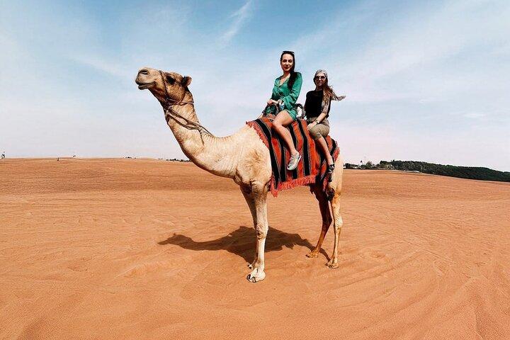 Evening Desert Safari Dubai with Premium Camp & Camel Riding
