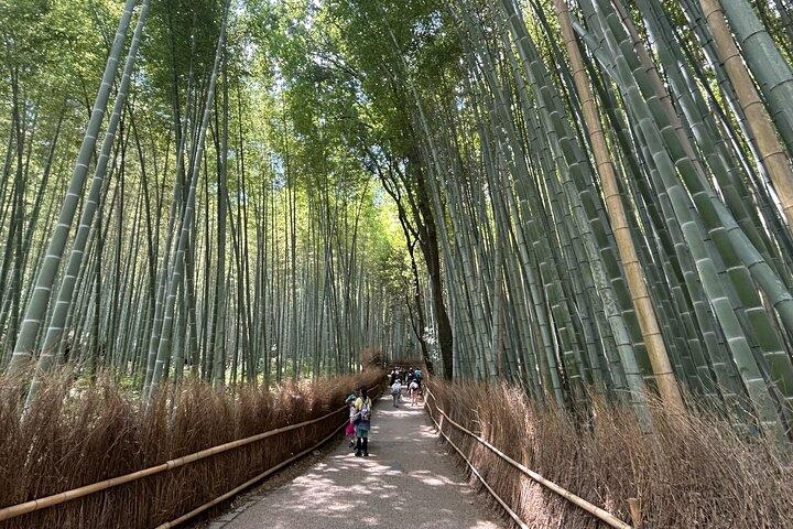 Arashiyama Morning Escape Bamboo Grove and Zen Temple