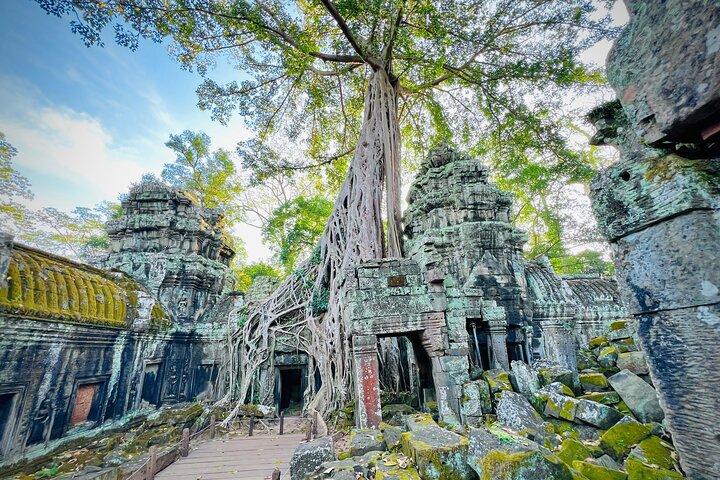 Private Angkor bicycle and Guided Temple Tour
