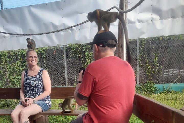 Monkey Paradise Experience and Puerto Plata City Tour