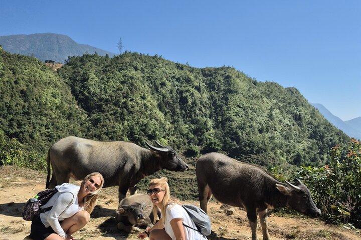 Private 2-Day Sapa Adventure by Car with Homestay