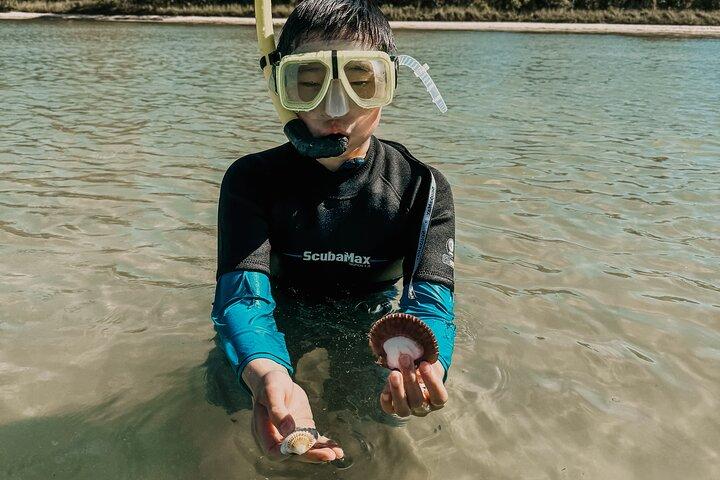 Destin Two Stop Snorkeling and Shelling Adventure