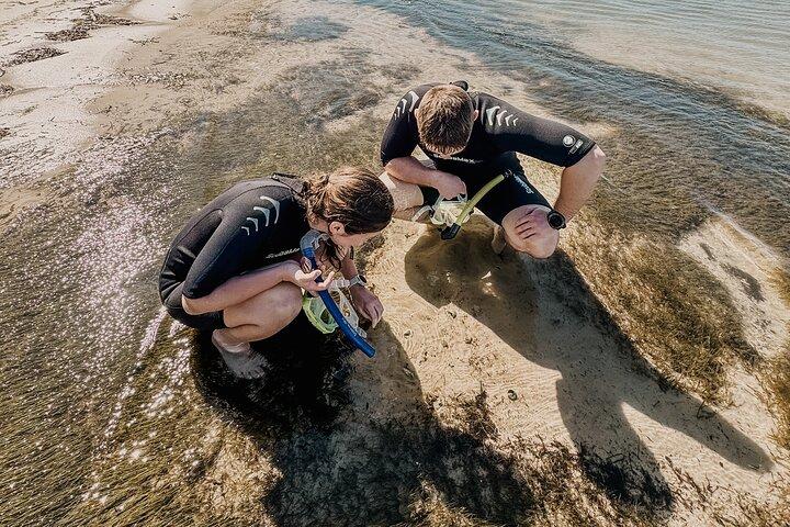 Destin Two Stop Snorkeling and Shelling Adventure