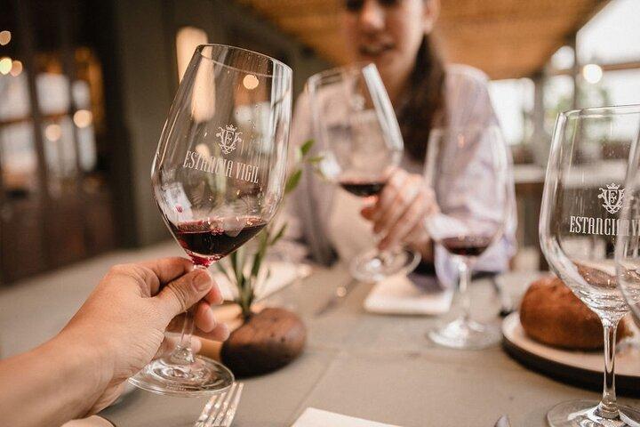 Exclusive Wine and Gourmet Lunch Experience at Estancia Vigil