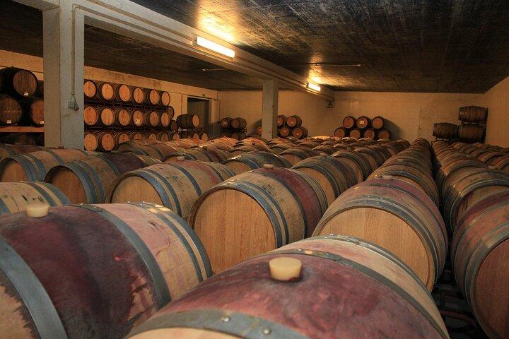Arrabida Wine Tour from Lisbon: Wineries, Tastings & Tile Factory