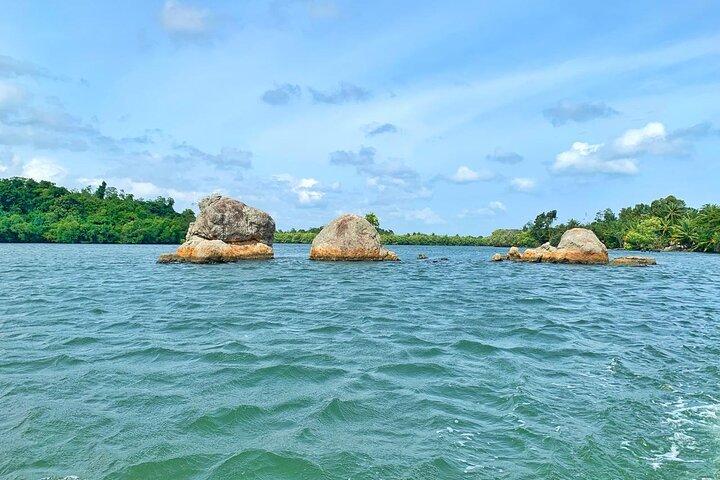 Galle: Koggala Lake Boat Safari with Monkeys Birds & Nature