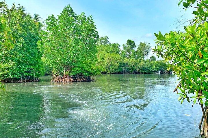 Galle: Koggala Lake Boat Safari with Monkeys Birds & Nature