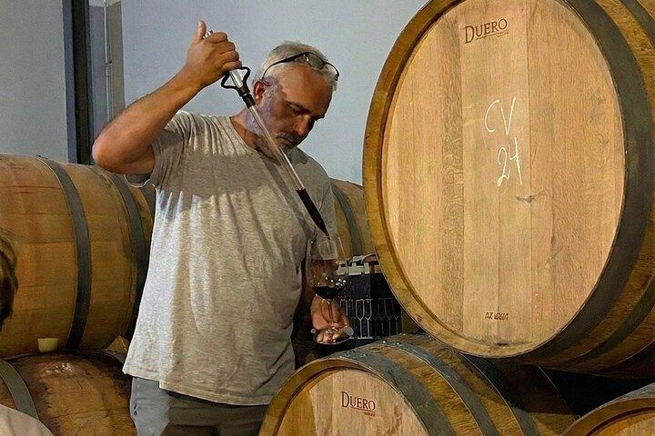 Malaga Organic Vineyard and Winery Six Wines Tapas and Transfer