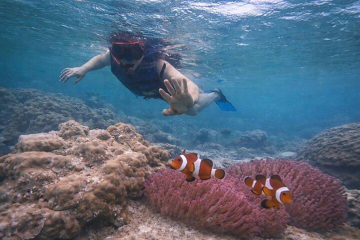 Private Batam Island Snorkeling and Canoe from Singapore